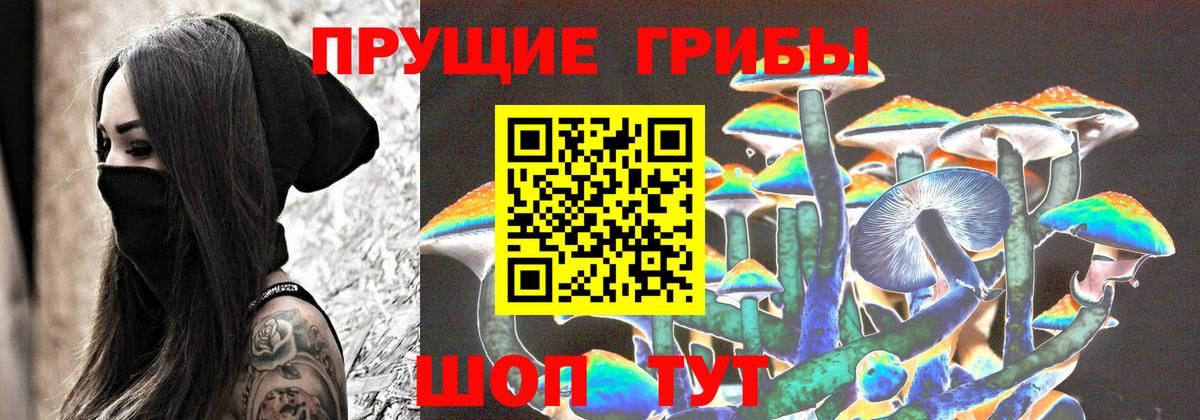 Ялта  Псилоцибиновые грибы прущие грибы  Вход с VPN 